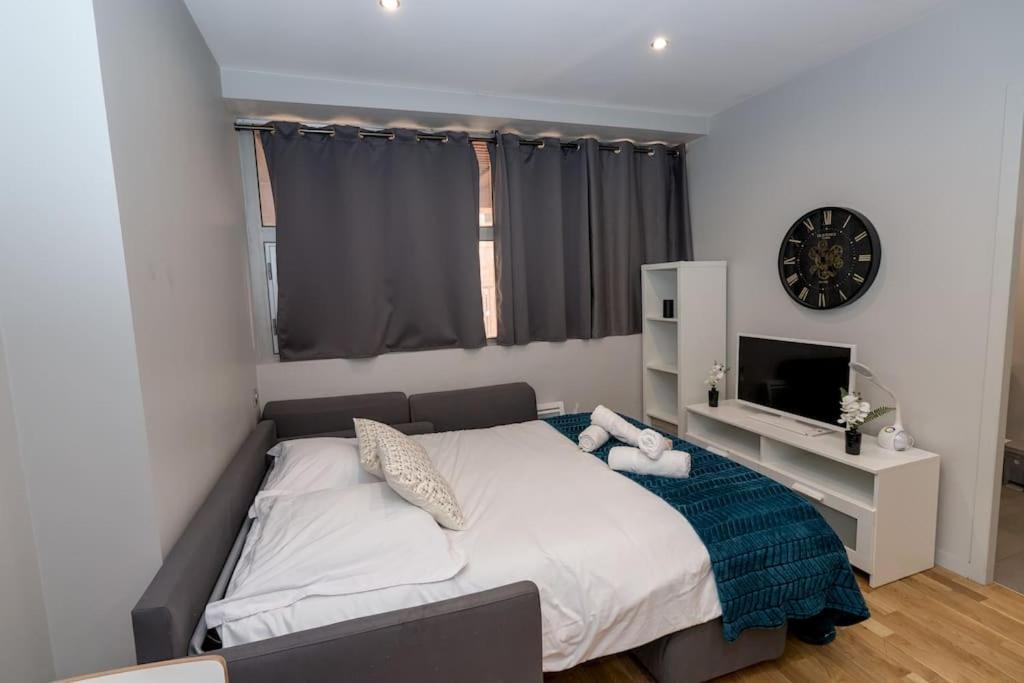 Magnifique Compans Caffarelli Apartment Toulouse